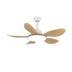 Brinley 42"/52" Ceiling Fan Light – product view 9
