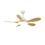 Brinley 42"/52" Ceiling Fan Light – product view 12