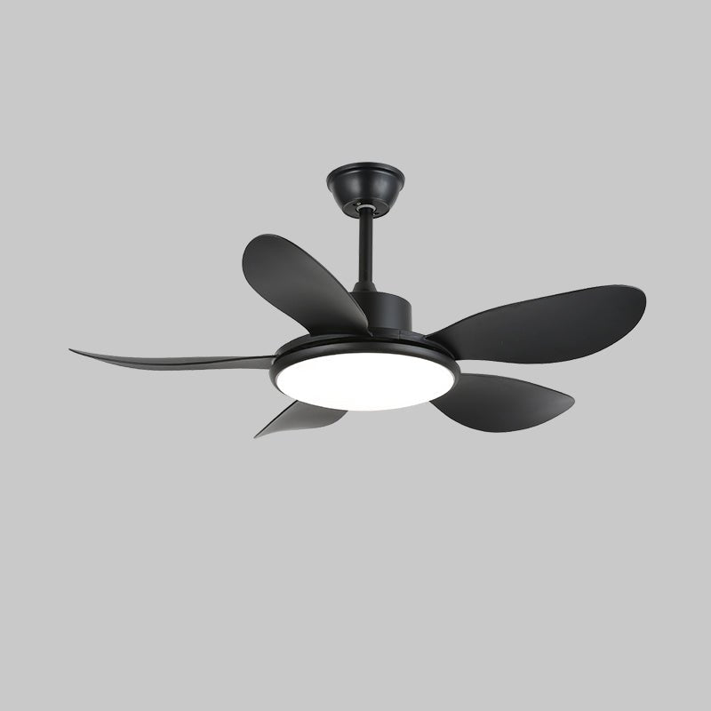 Brinley 42"/52" Ceiling Fan Light – product view 14
