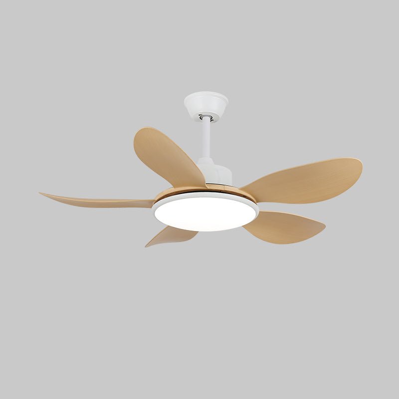 Brinley 42"/52" Ceiling Fan Light – product view 15