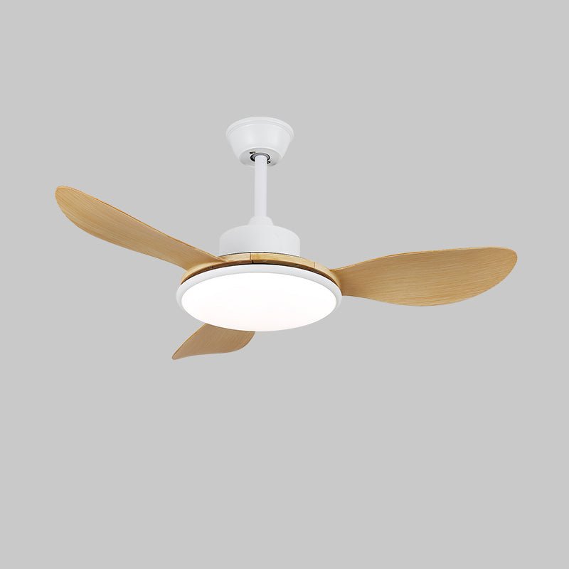 Brinley 42"/52" Ceiling Fan Light – product view 16
