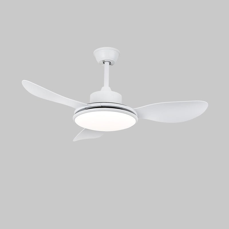 Brinley 42"/52" Ceiling Fan Light – product view 17