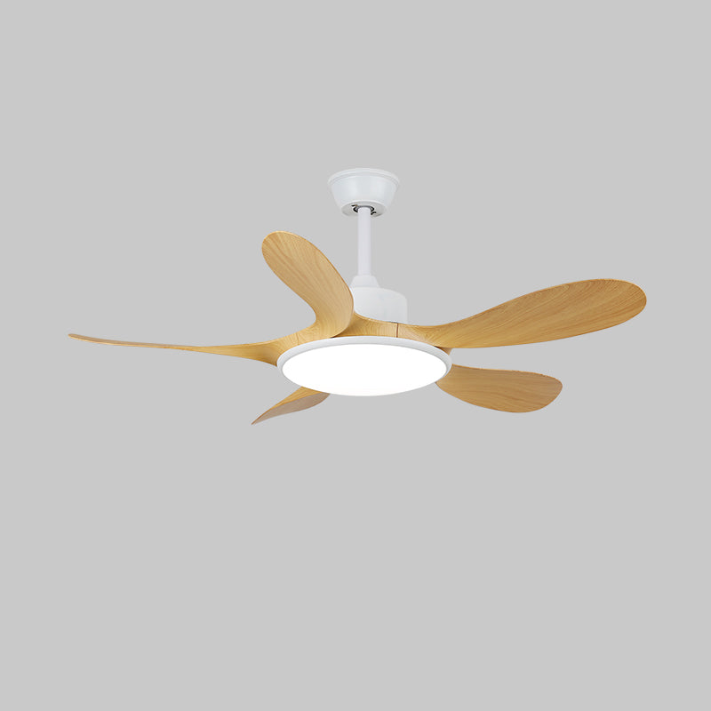 Brinley 42"/52" Ceiling Fan Light – product view 18