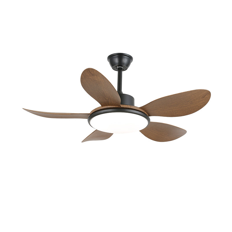 Brinley 42"/52" Ceiling Fan Light – product view 19