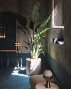Alabaster Comet Table Lamp – product view 27