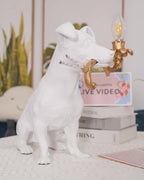 Rio Metal Table Lamp — product view 18