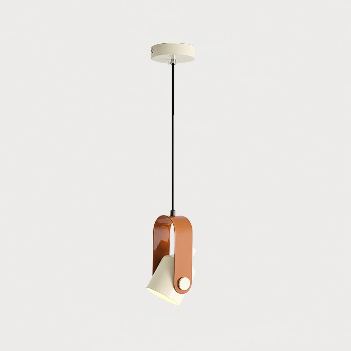 Neato Metal Pendant Lamp — product view 16