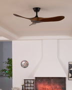 Aero Breeze Ceiling Fan – product view 27