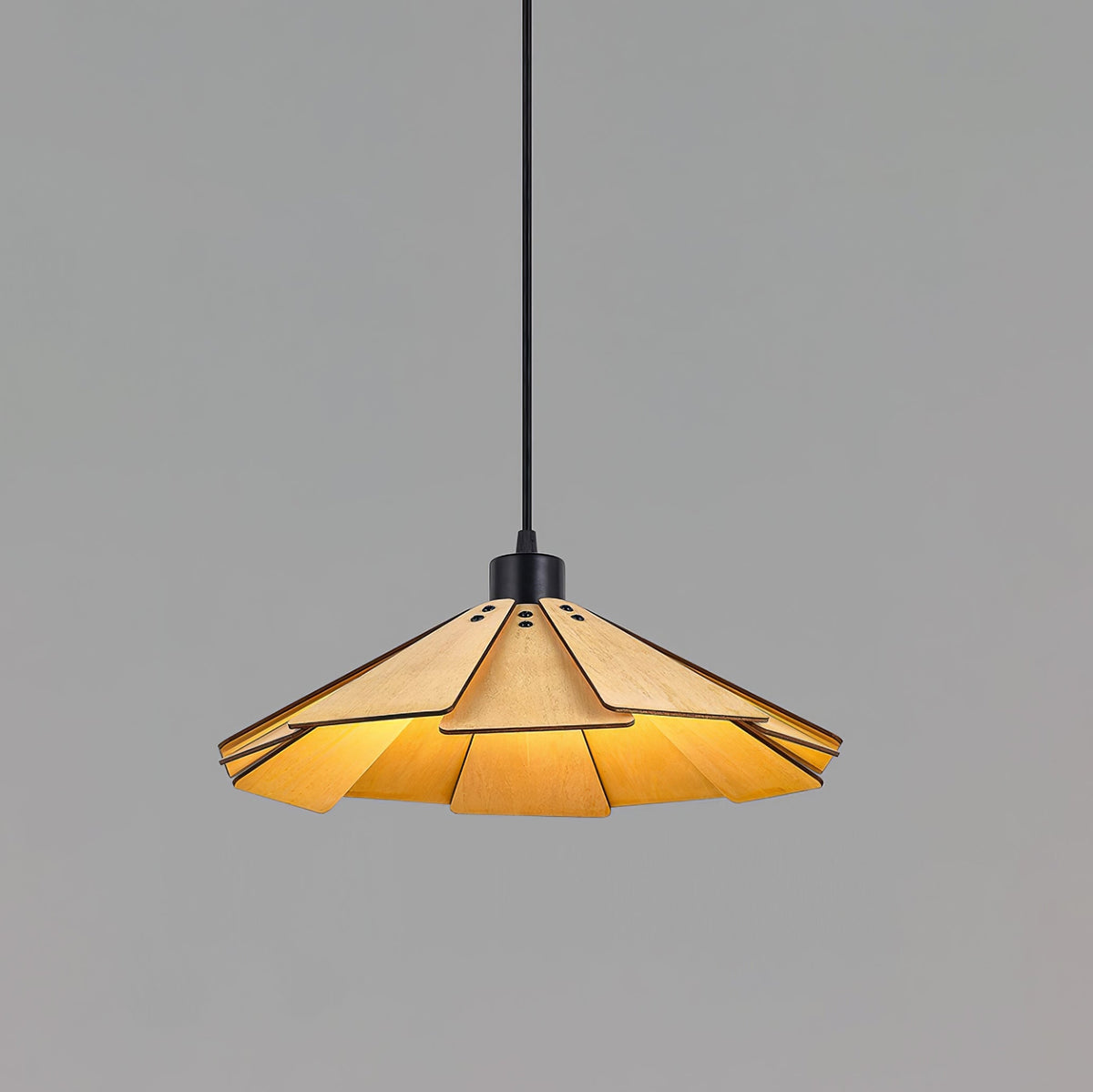 Delfina Wood Pendant Lamp — product view 24