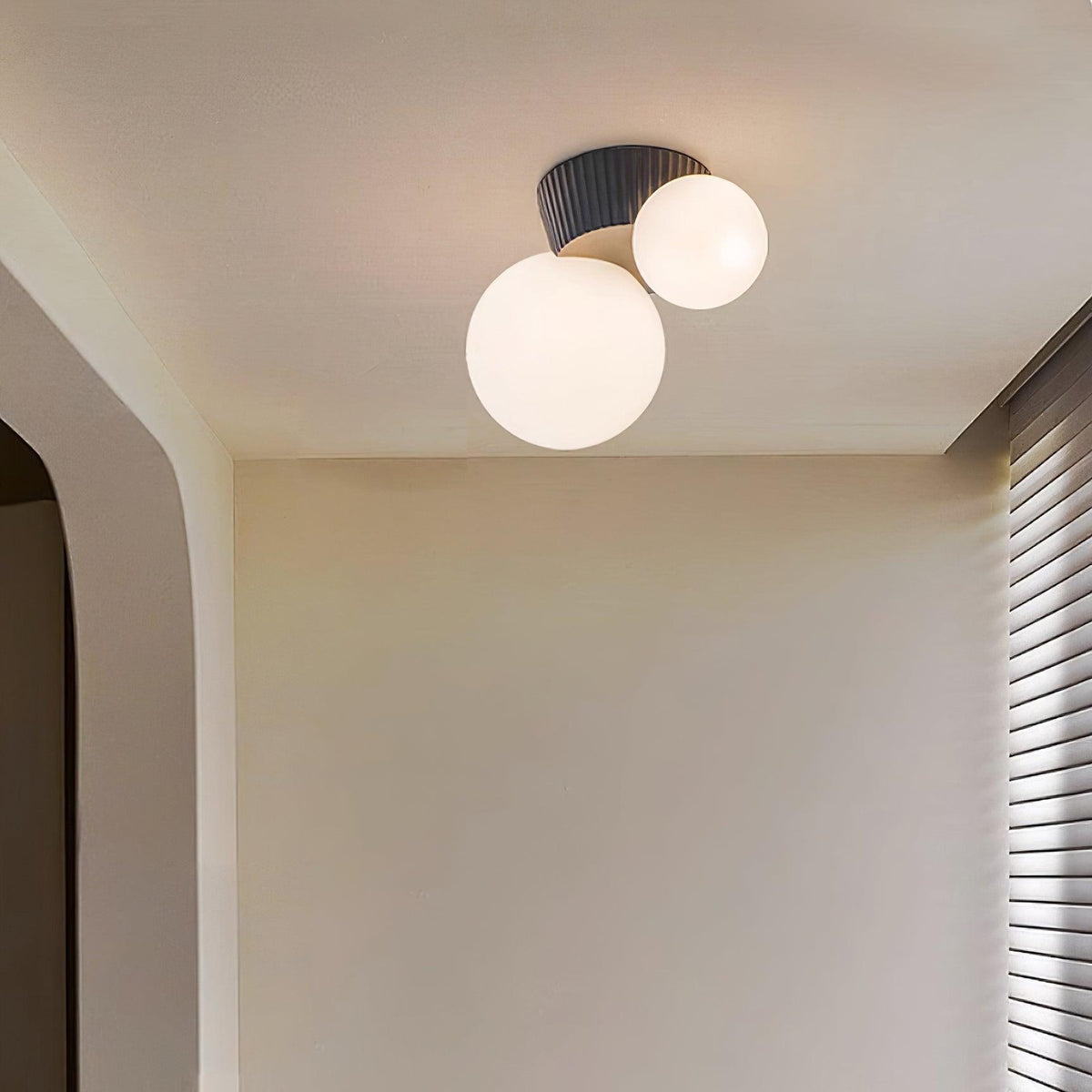 Land Ceiling Light — product view 3