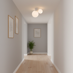 Land Ceiling Light — product view 11