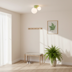 Land Ceiling Light — product view 12