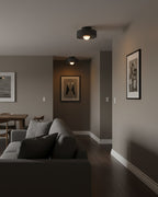 Carneros Glass Ceiling Lamp — product view 10