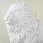 Lion Acrylic Floor Lamp — product view 16