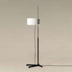 TMC Metal Floor Lamp — product view 18