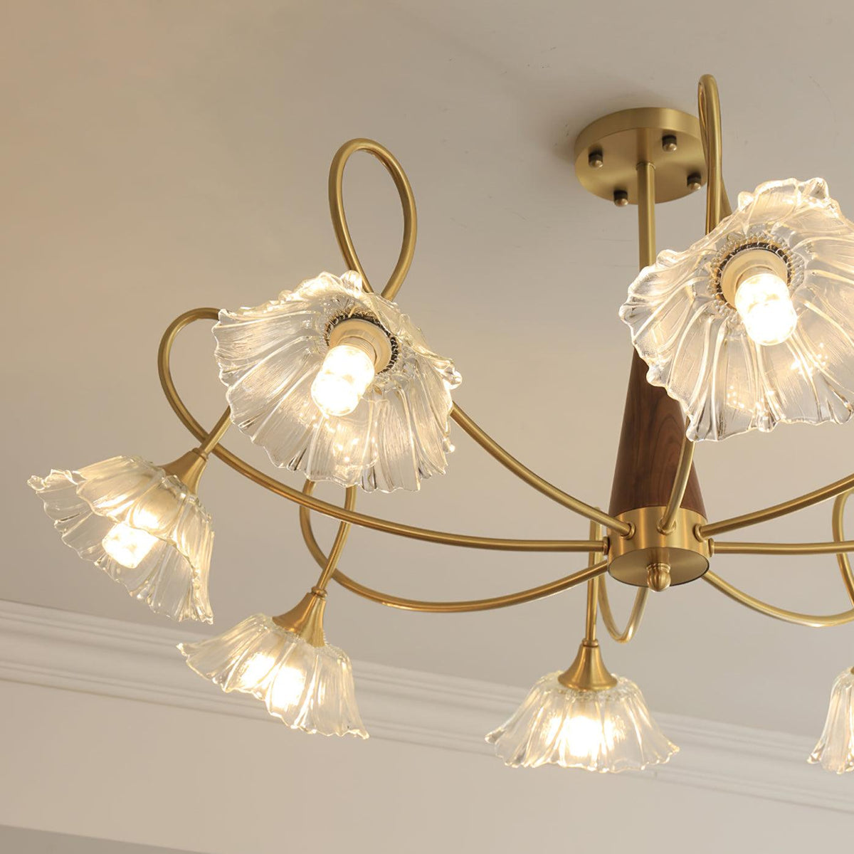 Century Lotus Leaf Glass Chandelier — product view 10