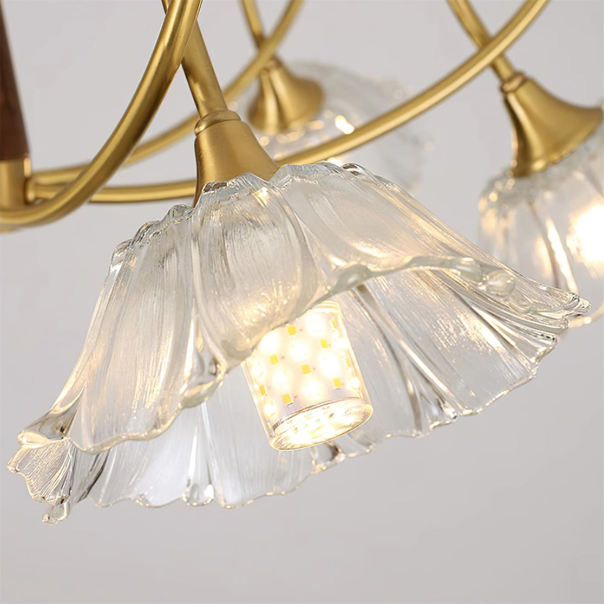 Century Lotus Leaf Glass Chandelier — product view 16
