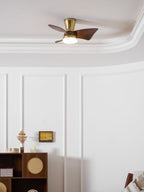 Breeze Lux Ceiling Fan Light – product view 9