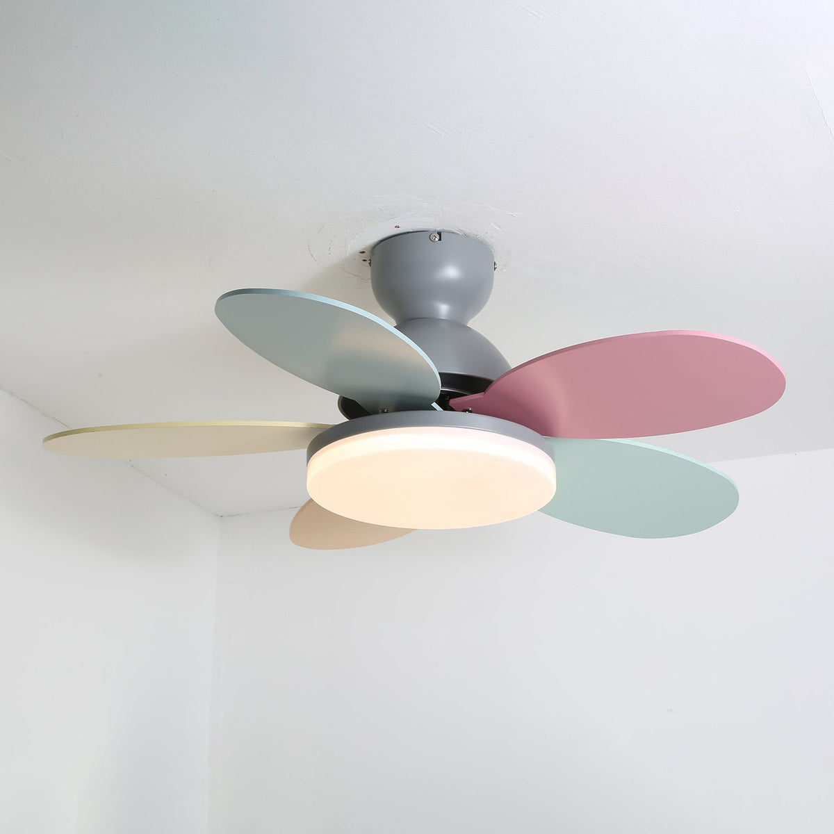 Petalo Ceiling Fan Light – product view 24