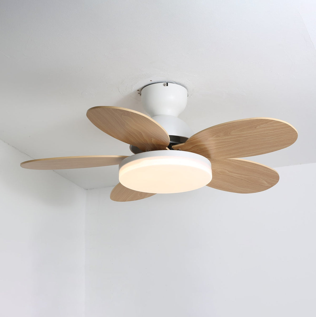 Petalo Ceiling Fan Light – product view 31