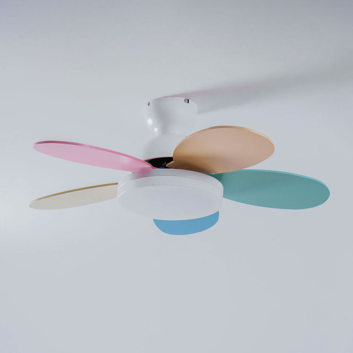 Petalo Ceiling Fan Light – product view 59