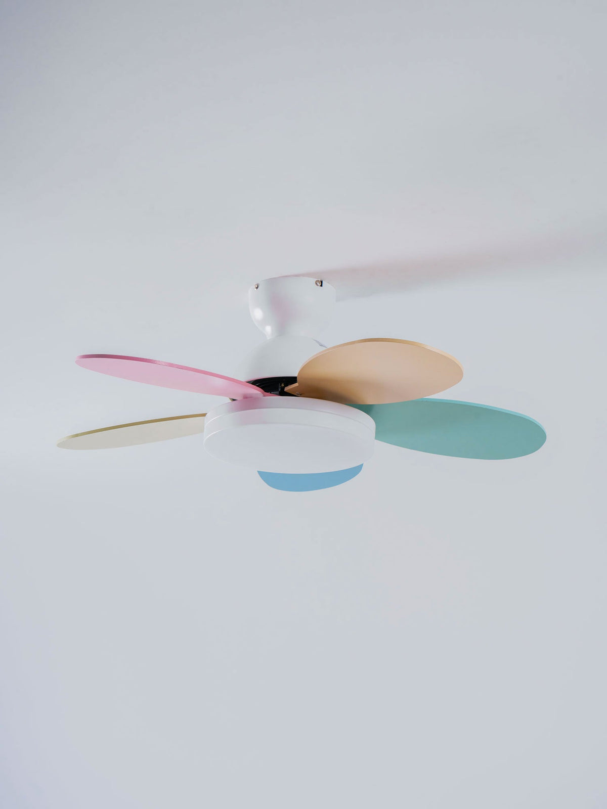 Petalo Ceiling Fan Light – product view 60