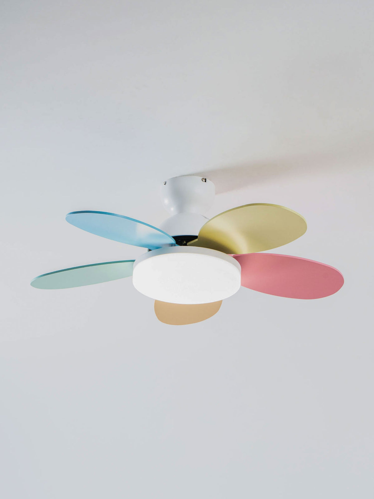 Petalo Ceiling Fan Light – product view 61
