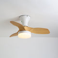 Brisa Ceiling Fan Light – product view 3