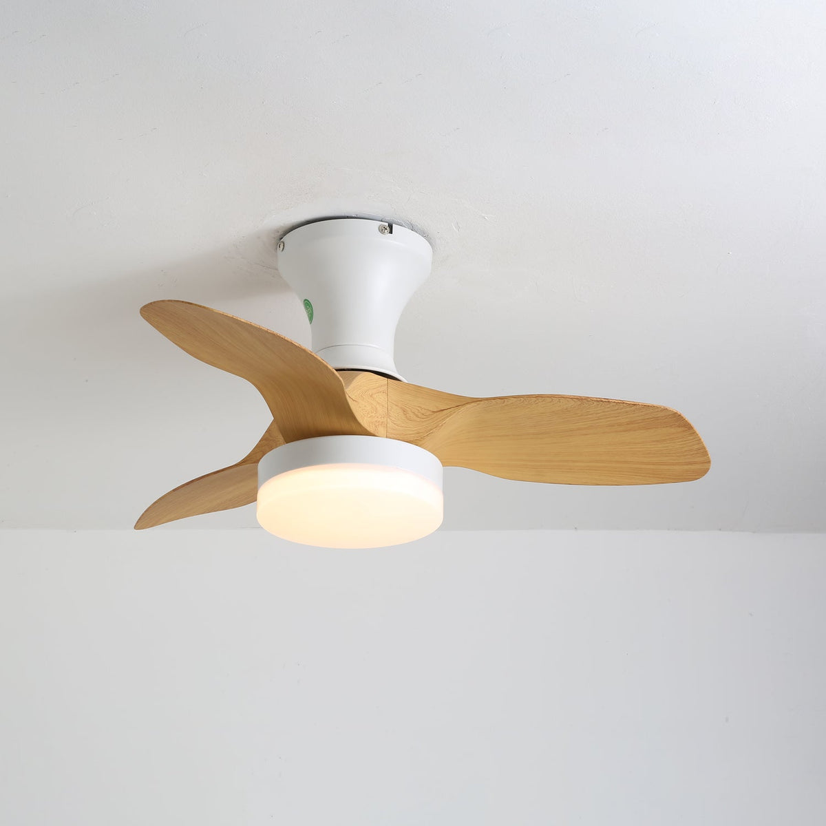 Brisa Ceiling Fan Light – product view 3