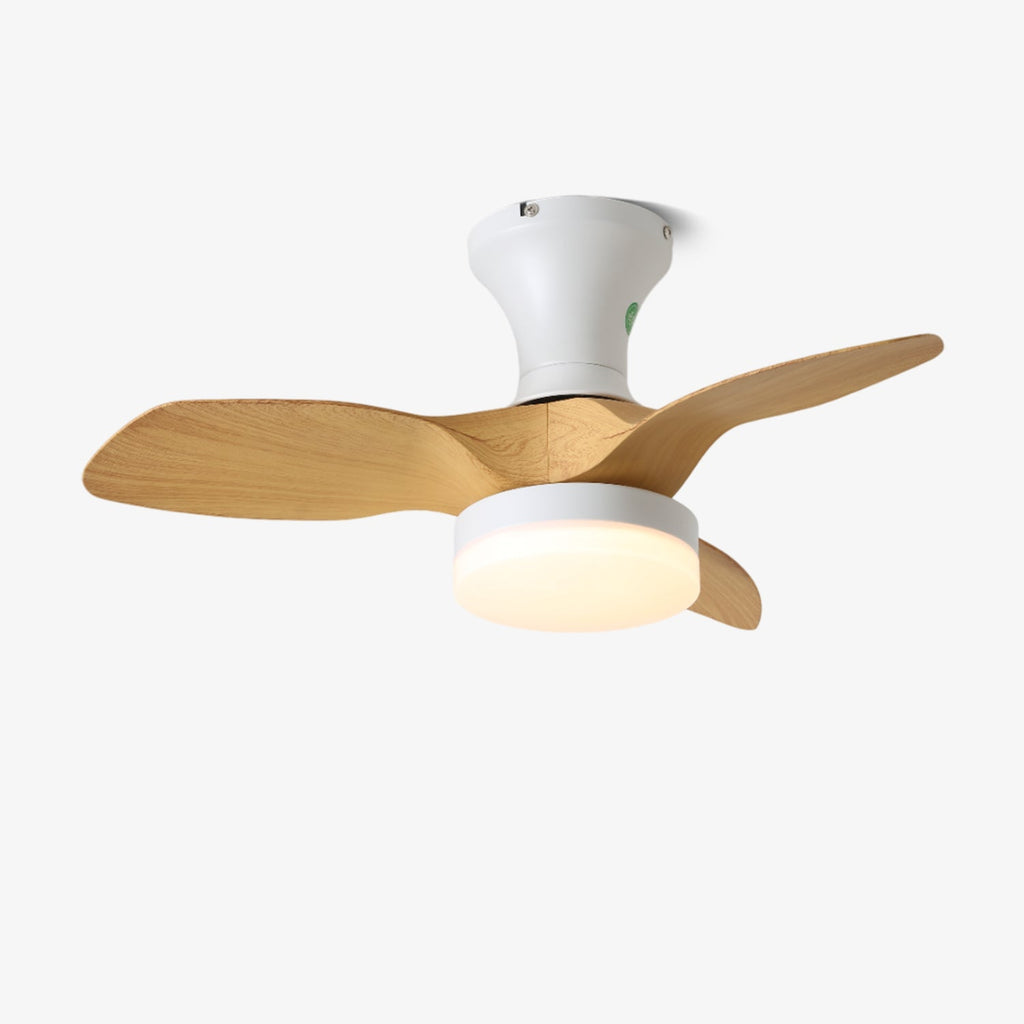 Brisa Ceiling Fan Light – product view 6