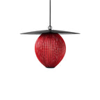 Boris Metal Pendant Lamp — product view 31