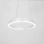 Halo Led Metal Pendant Lamp — product view 62
