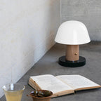 Touch Charge Mushroom Lamp — product view 20