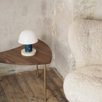 Touch Charge Mushroom Lamp — product view 24