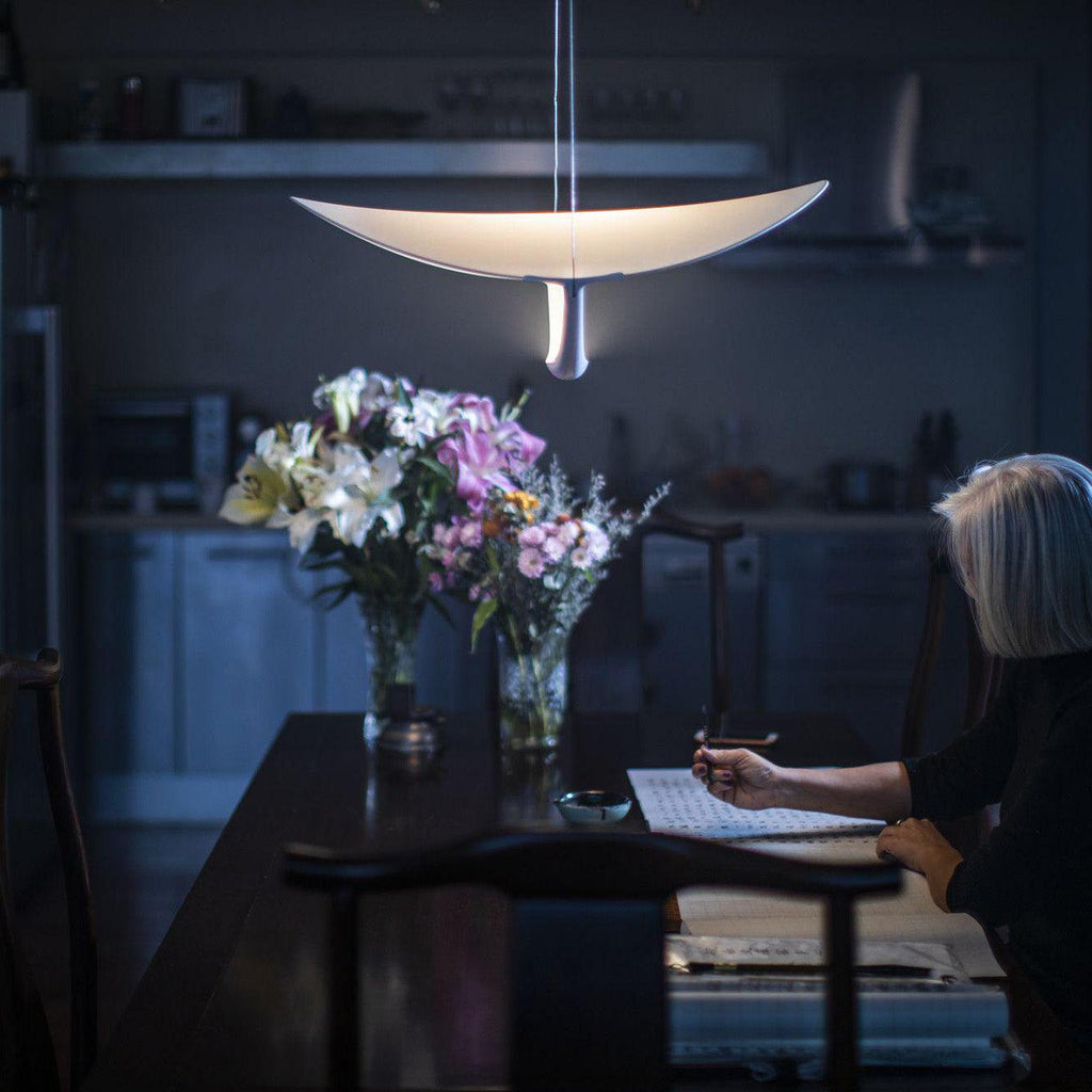 Shield Metal Pendant Lamp — product view 14