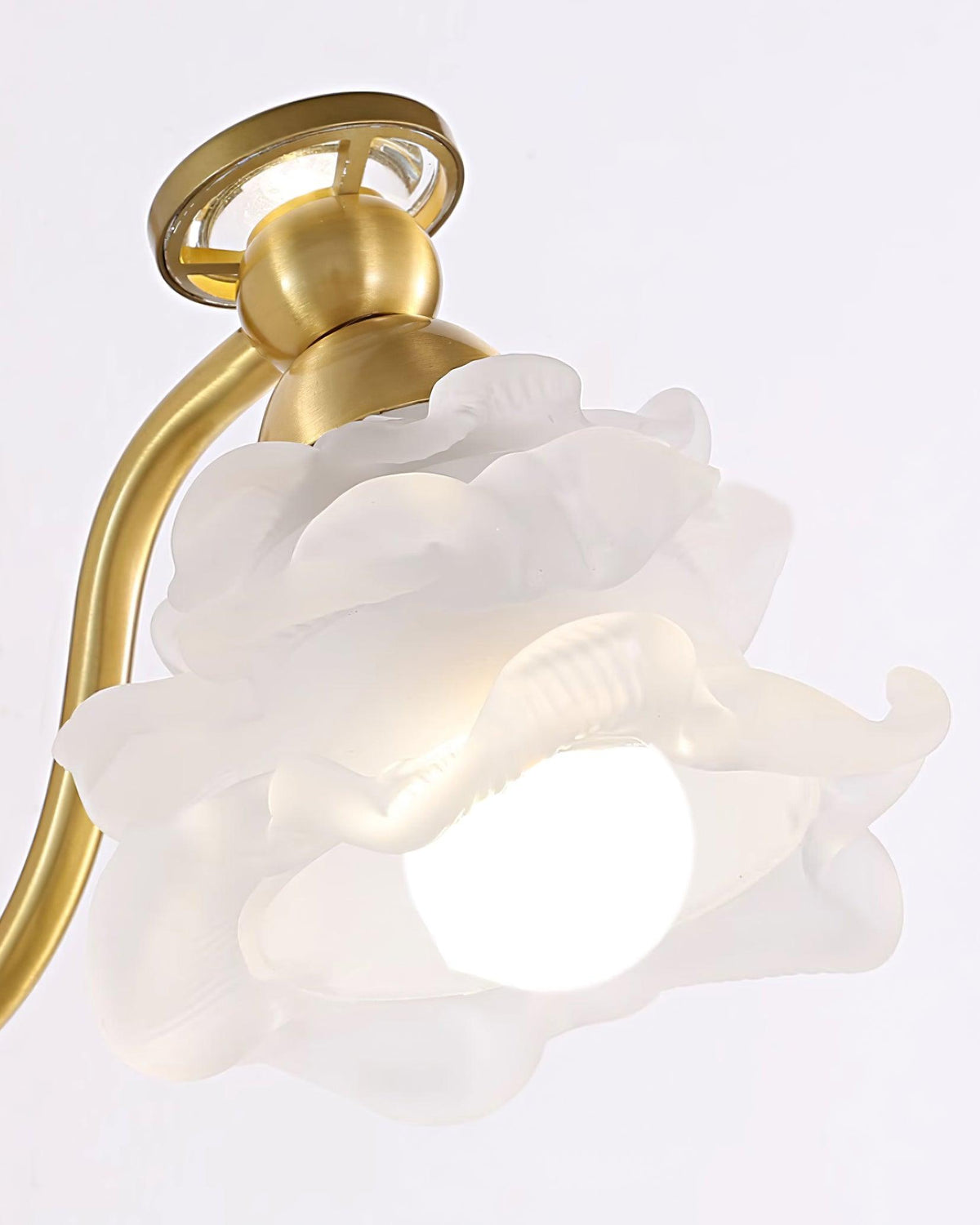 Brass Floral Wall Lamp — product view 18