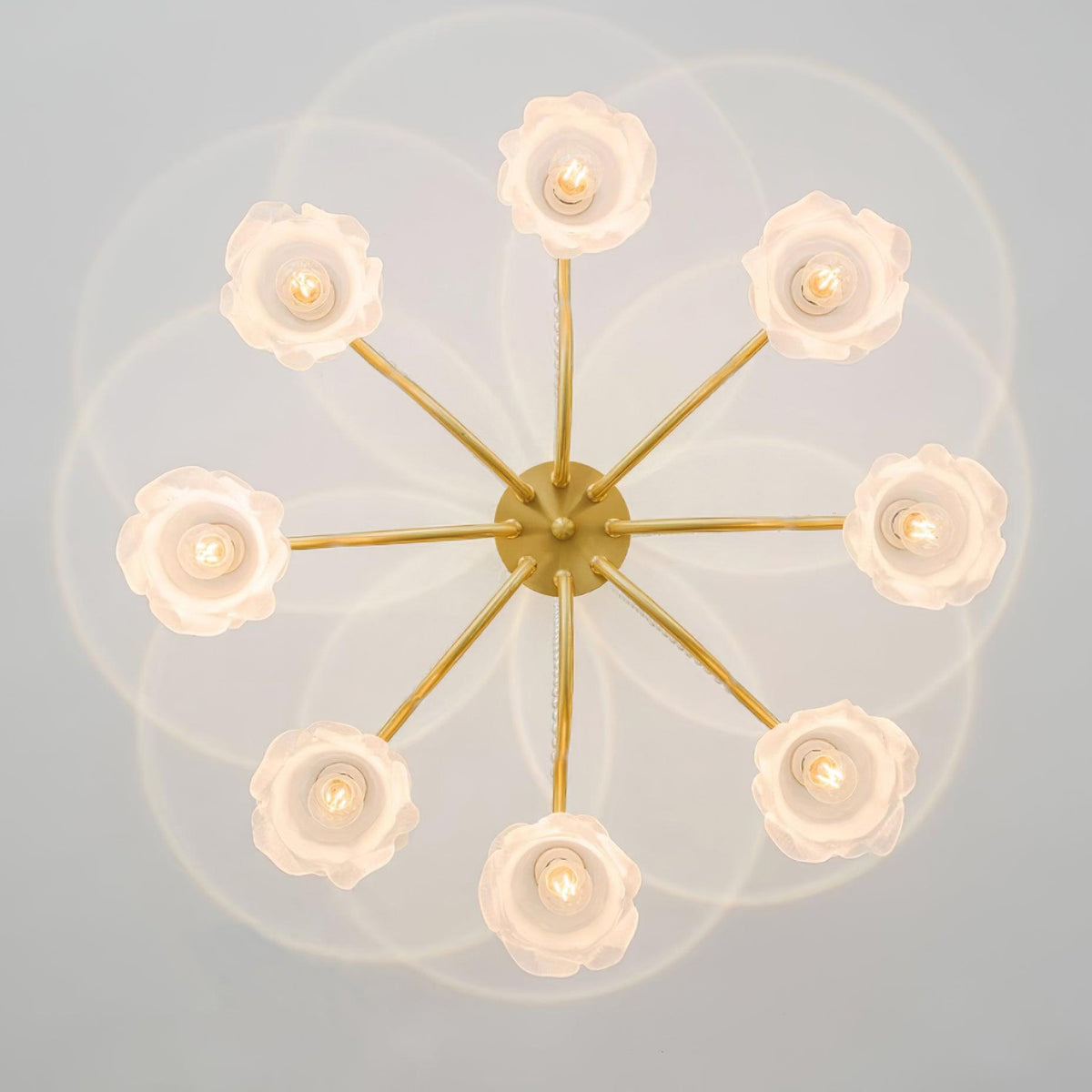 Roses Landi Glass Chandelier — product view 13
