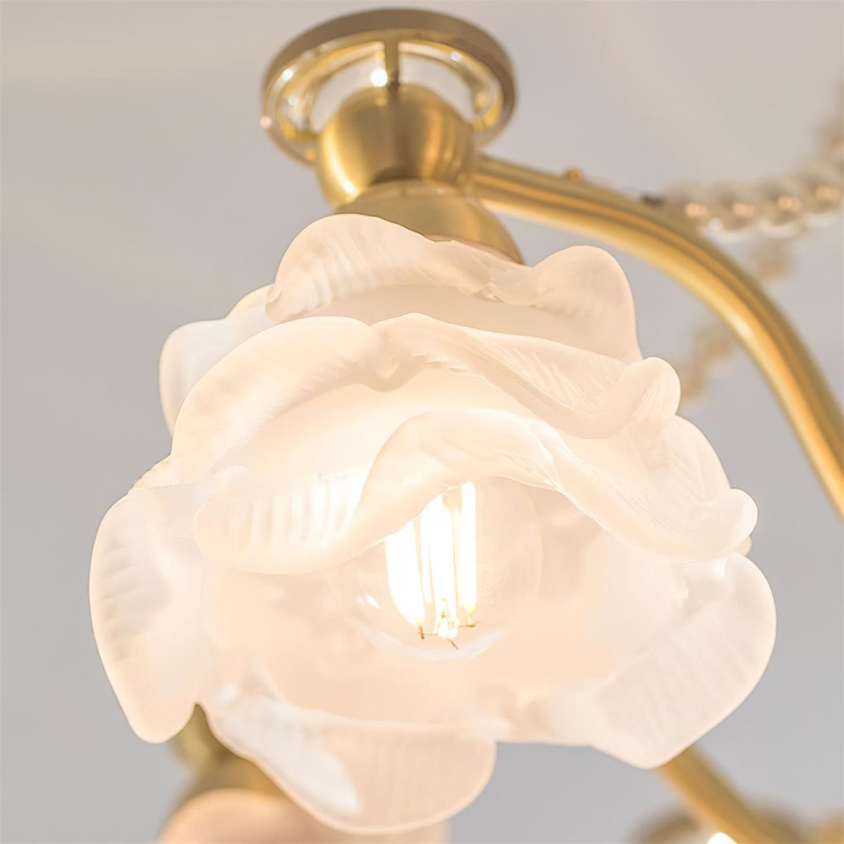 Roses Landi Glass Chandelier — product view 20