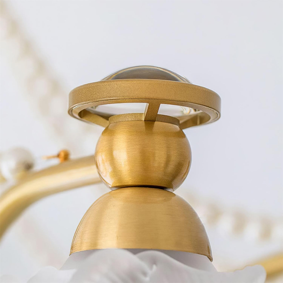 Roses Landi Glass Chandelier — product view 21