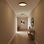 Kerio Metal Ceiling Light — product view 6