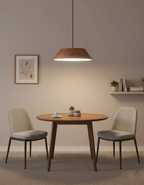Tekio Metal Pendant Lamp — product view 11