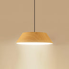 Tekio Metal Pendant Lamp — product view 17