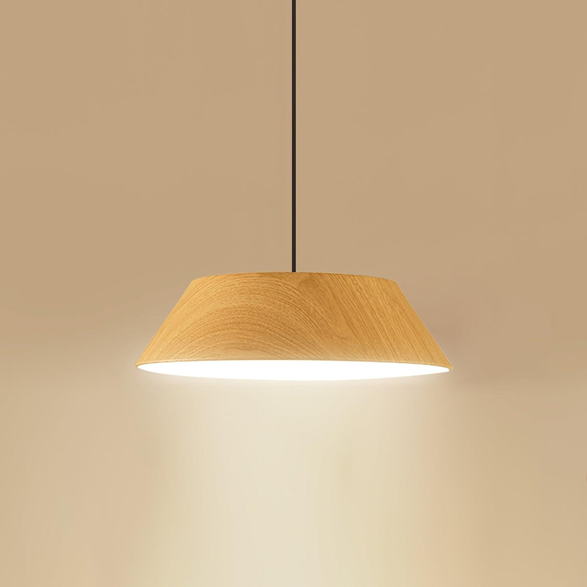 Tekio Metal Pendant Lamp — product view 17