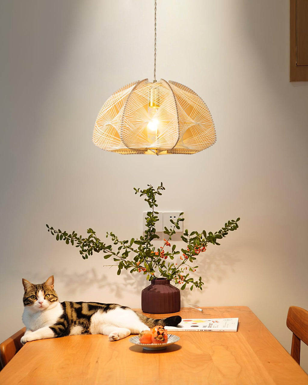 Surya Wood Pendant Lamp — product view 6