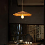 Ravi Metal Pendant Lamp — product view 6