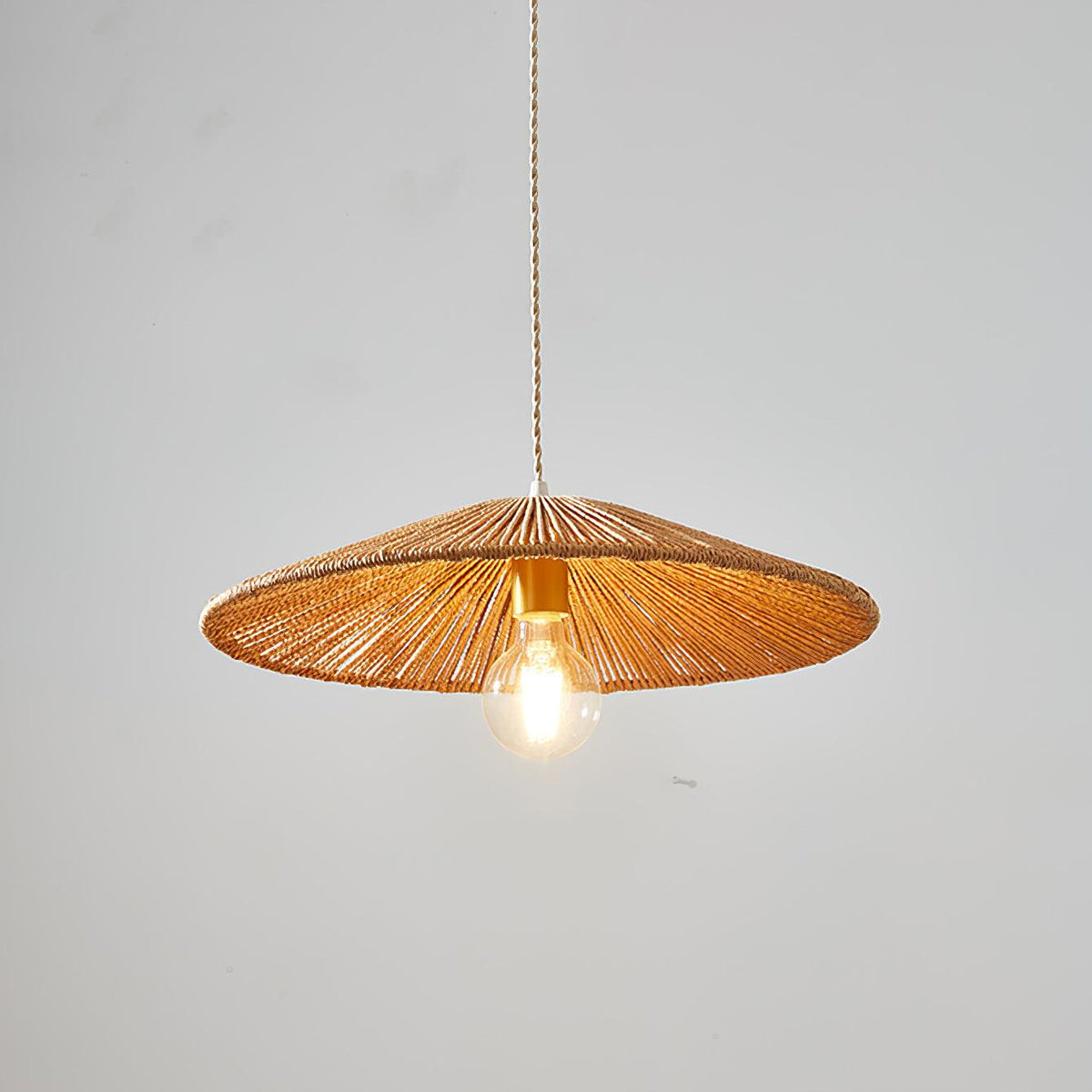 Ravi Metal Pendant Lamp — product view 10