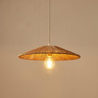 Ravi Metal Pendant Lamp — product view 11