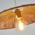 Ravi Metal Pendant Lamp — product view 15