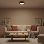 Kovacs Glass Ceiling Light — product view 13
