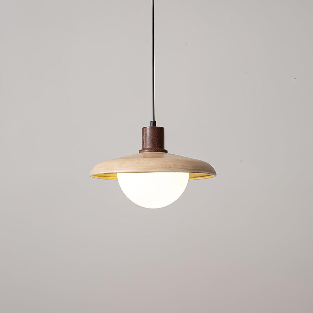 Corpin Plug In Pendant Lamp — product view 22